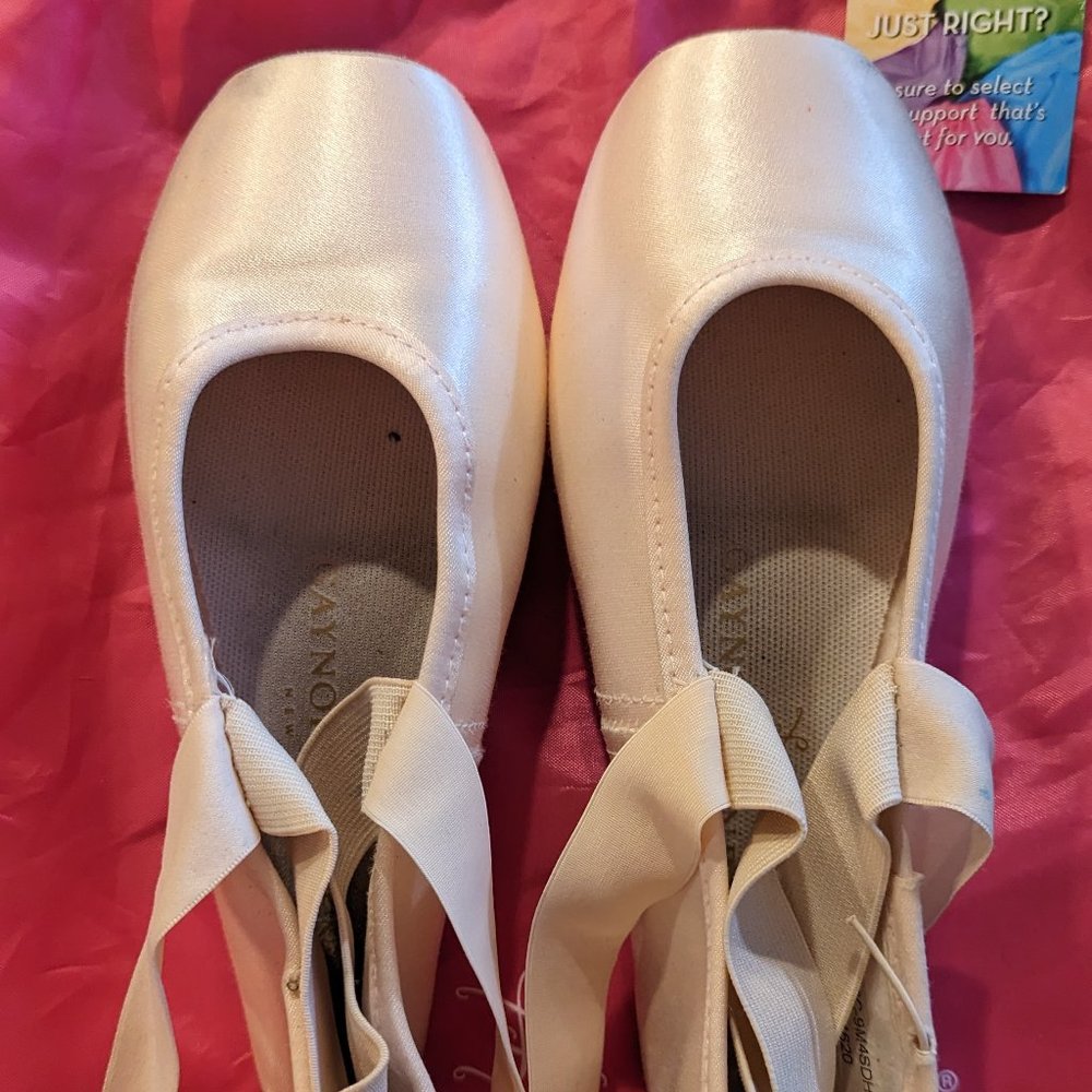 Gaynor Minden Europa Pointe Shoes